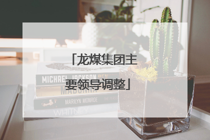 龙煤集团主要领导调整